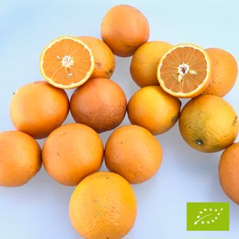 Cubotto pomarańcze Valencia - pomarańcze Ovale BIO (8+3,5) 11,5kg