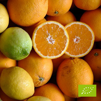 Cubotto pomarańcze Valencia - cytryny BIO (9,5+2) 11,5kg