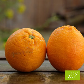 Cubotto pomarańcze Ovale - pomarańcze Valencia BIO (8+3,5) 11,5kg